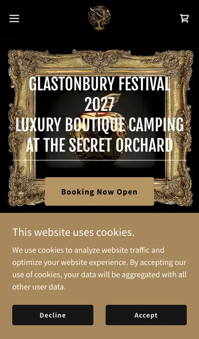 Your homepage on an iPhone: the cookie notice takes up the bottom third of the screen